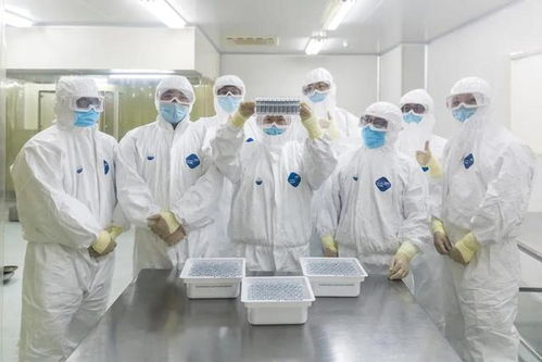 科技抗疫雙喜臨門 皖企新冠疫苗獲臨床批準，北京信息技術服務同步啟動